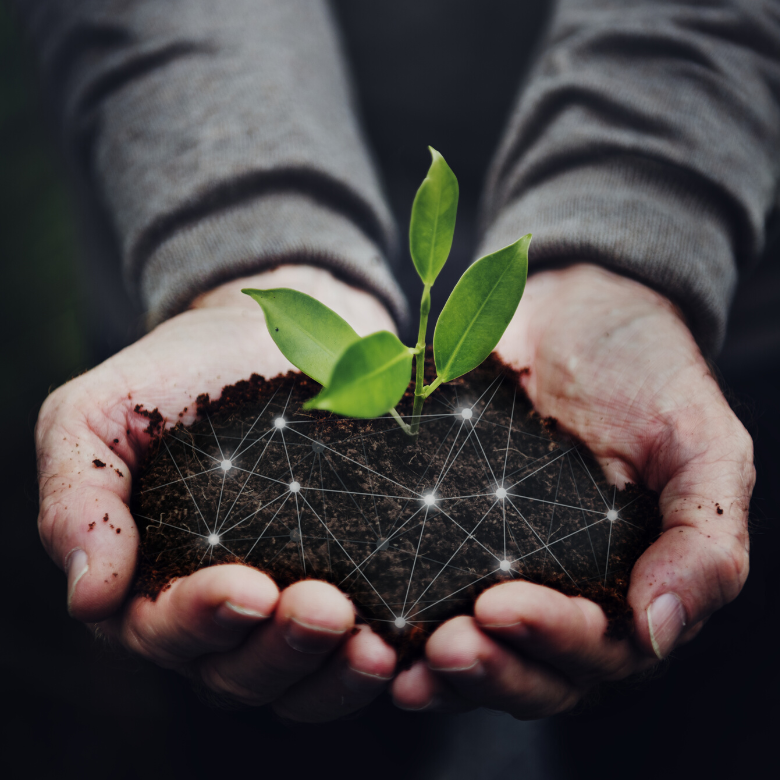 Smart Farming